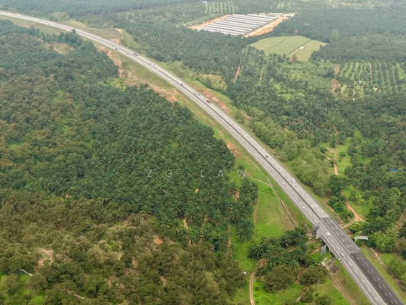 Agricultural Land for Sale in Batu Pahat (Johor) - ZG Law - PropertyGuru.com.my