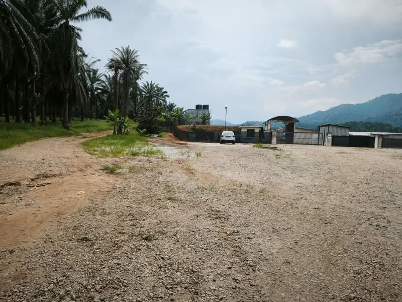 Agricultural Land for Sale in Batu Pahat (Johor) - ZG Law - PropertyGuru.com.my