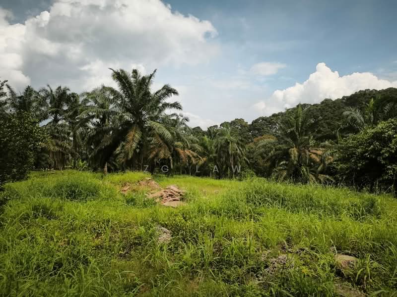 Agricultural Land for Sale in Batu Pahat (Johor) - ZG Law - PropertyGuru.com.my
