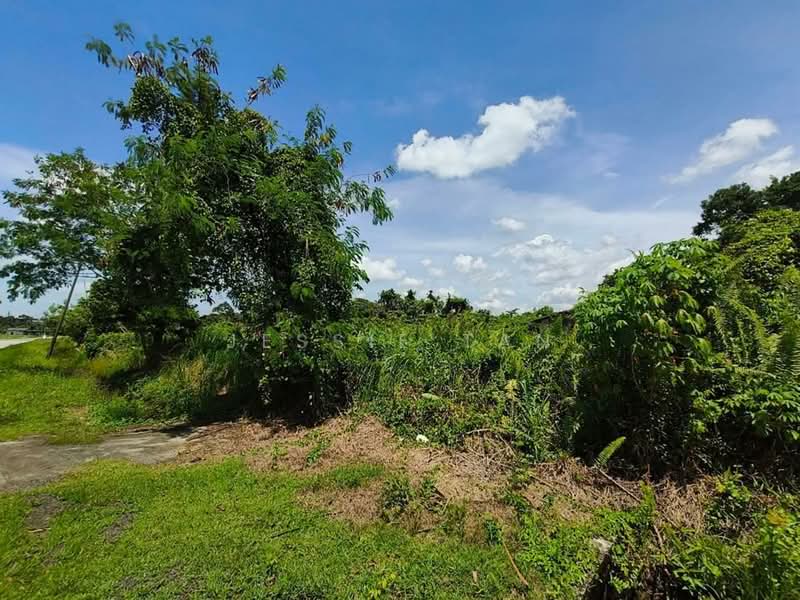 Agricultural Land for Sale in Kluang (Johor) - Jessie Tan - Exterior - PropertyGuru.com.my