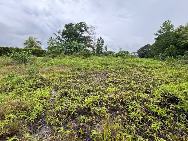 Agricultural Land for Sale in Kluang (Johor) - Jessie Tan - Garden - PropertyGuru.com.my