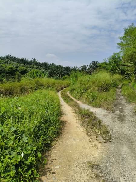 Agricultural Land for Sale in Kluang (Johor) - Jessie Tan - Exterior - PropertyGuru.com.my
