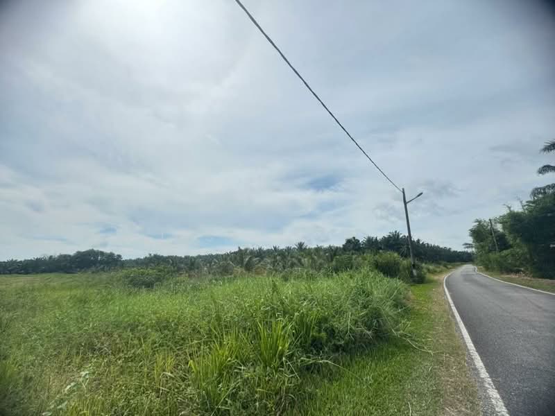 Agricultural Land for Sale in Kluang (Johor) - Jessie Tan - Exterior - PropertyGuru.com.my