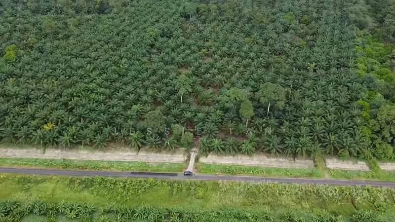 Tanah Pertanian untuk Dijual di Jemaluang (Mersing) - Jessie Tan - Exterior - PropertyGuru.com.my