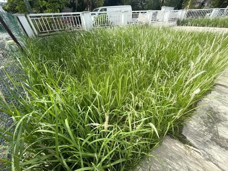 2-storey Terraced House for Sale in Bandar Botanic (Klang) - Zackinn Hoi - Exterior - PropertyGuru.com.my