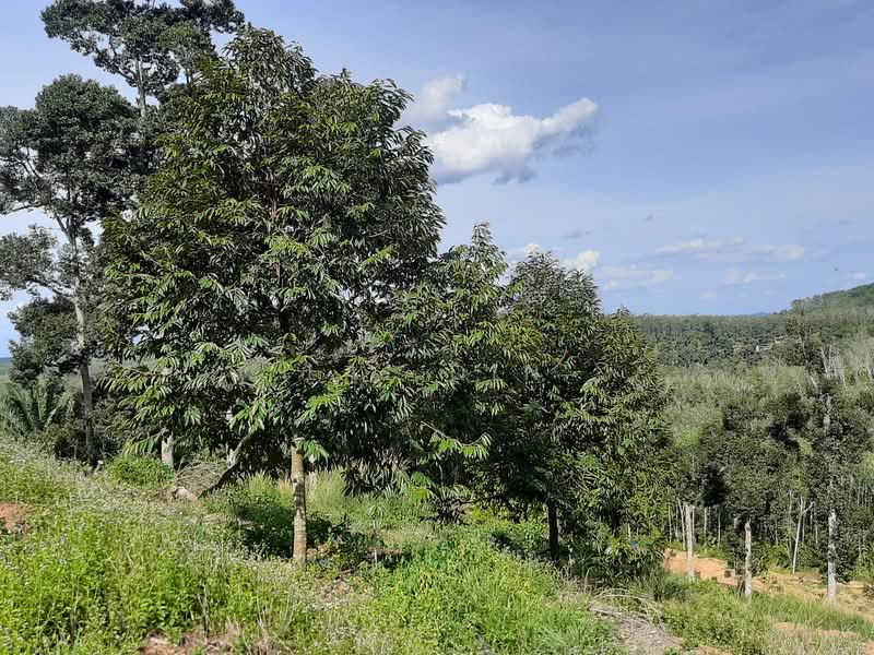 Tanah Pertanian untuk Dijual di Kuala Klawang (Negeri Sembilan) - Lai Din - Exterior - PropertyGuru.com.my