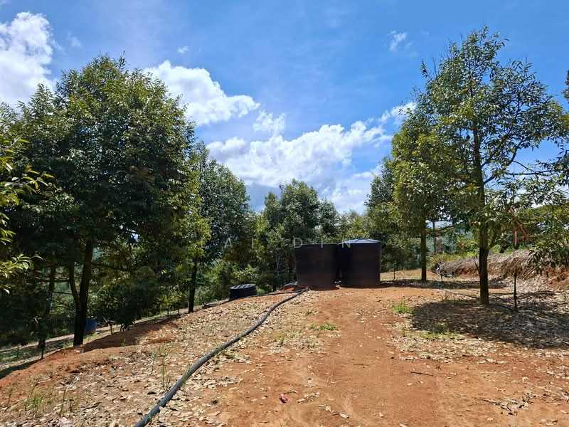Tanah Pertanian untuk Dijual di Kuala Klawang (Negeri Sembilan) - Lai Din - Exterior - PropertyGuru.com.my