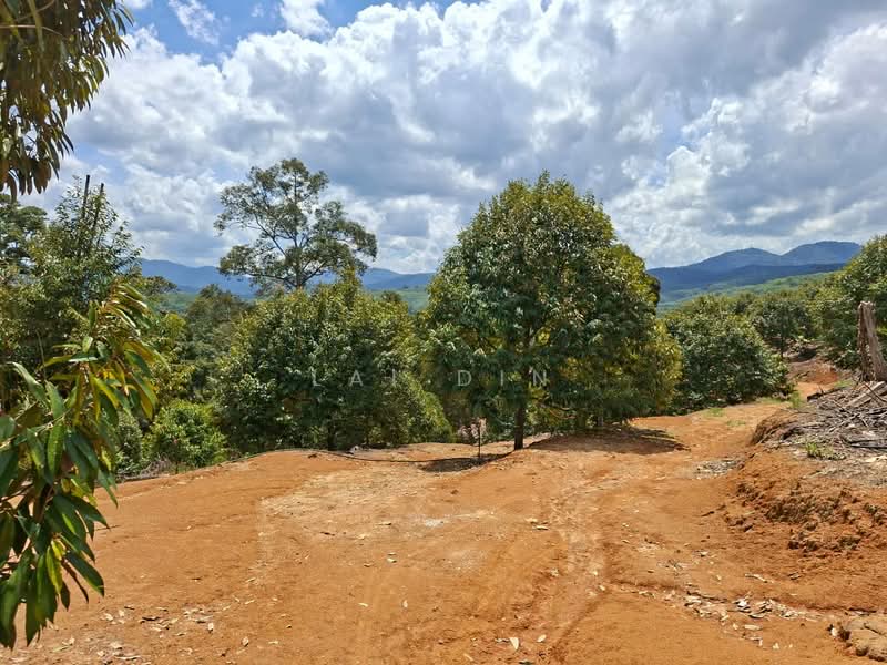 Tanah Pertanian untuk Dijual di Kuala Klawang (Negeri Sembilan) - Lai Din - Exterior - PropertyGuru.com.my