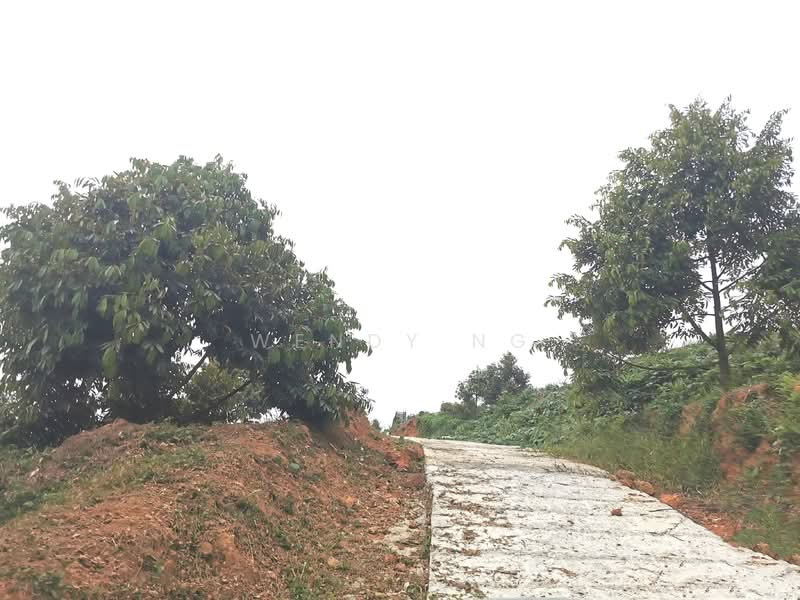 Agricultural Land for Sale in Lembah Beringin (Sungai Gumut) - Wendy Ng - Exterior - PropertyGuru.com.my