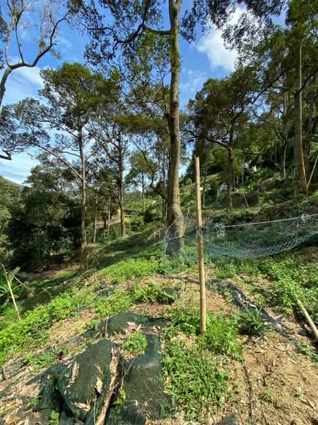 Agricultural Land for Sale in Balik Pulau (Penang) - Pei Hong - Exterior - PropertyGuru.com.my