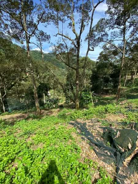 Agricultural Land for Sale in Balik Pulau (Penang) - Pei Hong - Exterior - PropertyGuru.com.my