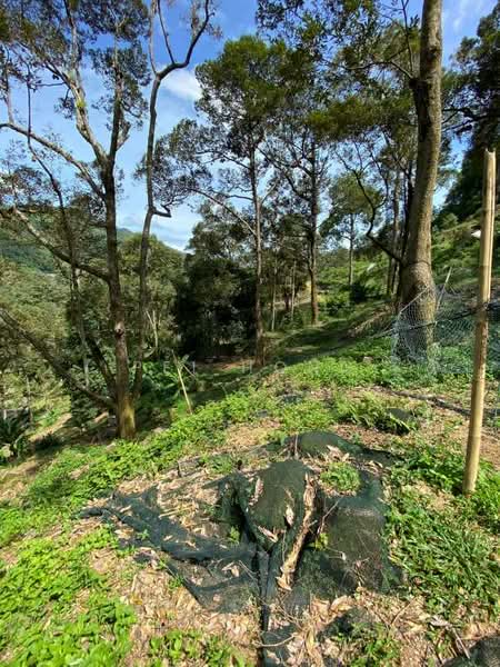 Agricultural Land for Sale in Balik Pulau (Penang) - Pei Hong - Exterior - PropertyGuru.com.my