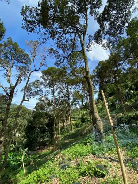 Agricultural Land for Sale in Balik Pulau (Penang) - Pei Hong - Exterior - PropertyGuru.com.my