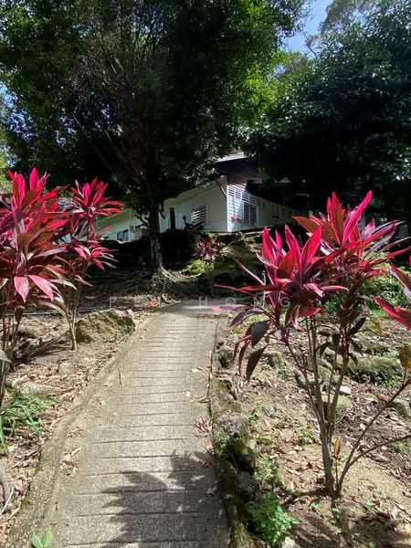 Agricultural Land for Sale in Balik Pulau (Penang) - Pei Hong - Exterior - PropertyGuru.com.my