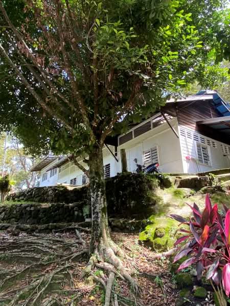 Agricultural Land for Sale in Balik Pulau (Penang) - Pei Hong - Exterior - PropertyGuru.com.my