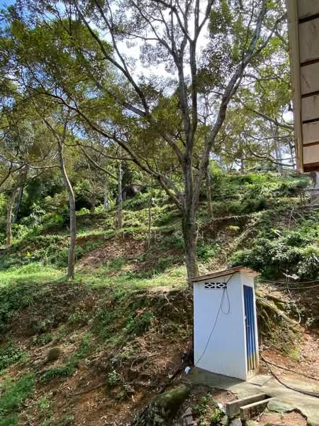 Agricultural Land for Sale in Balik Pulau (Penang) - Pei Hong - Exterior - PropertyGuru.com.my