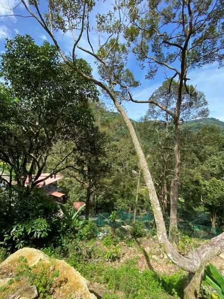 Agricultural Land for Sale in Balik Pulau (Penang) - Pei Hong - Exterior - PropertyGuru.com.my