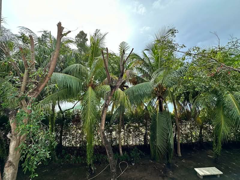 2.5-storey Terraced House for Sale in Seri Tanjung Pinang (Tanjung Tokong) - SERENEN TEH - Exterior - PropertyGuru.com.my