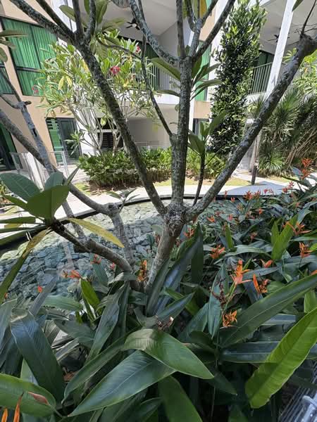 Rumah Teres 3 Tingkat untuk Dijual di Leisure Farm (Gelang Patah) - Sin Yie - Exterior - PropertyGuru.com.my