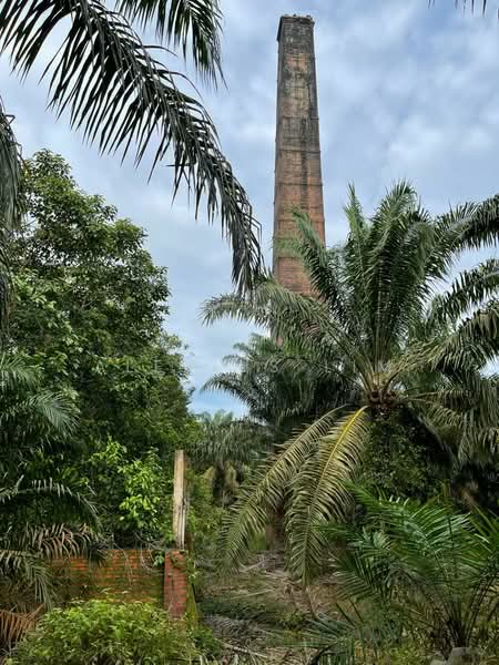 Agricultural Land for Sale in Felda Bukit Batu (Sedenak) - Alexius Lim - PropertyGuru.com.my