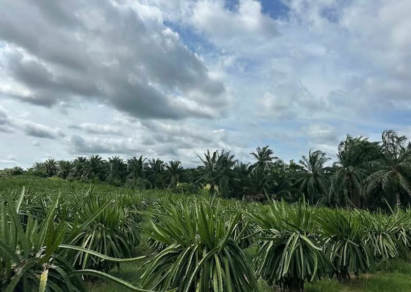Tanah Pertanian untuk Dijual di Pasir Panjang (Negeri Sembilan) - Tien Ee Yap - Garden - PropertyGuru.com.my