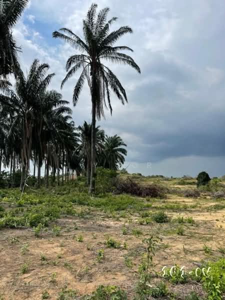 Agricultural Land for Sale in Bandar Sri Sendayan (Negeri Sembilan) - Ivy Por - Exterior - PropertyGuru.com.my