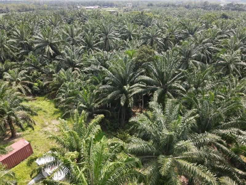 Agricultural Land for Sale in Kampung Bukit Changgang (Tanjong Duabelas) - Izzah Alias - PropertyGuru.com.my