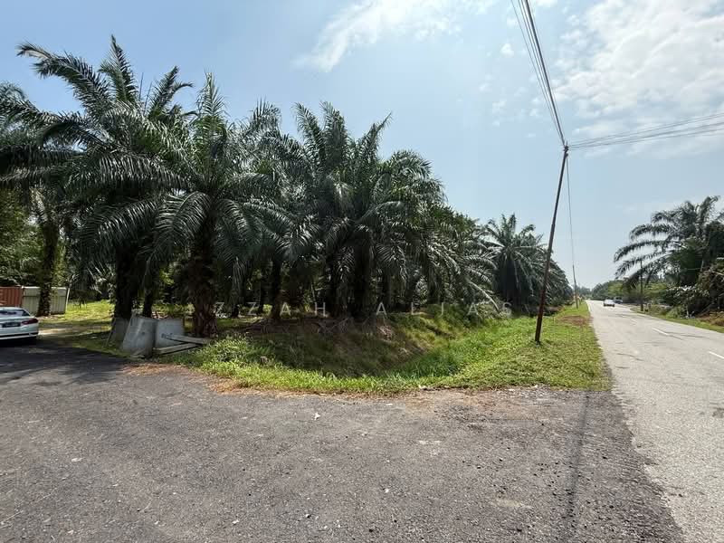 Agricultural Land for Sale in Kampung Bukit Changgang (Tanjong Duabelas) - Izzah Alias - PropertyGuru.com.my