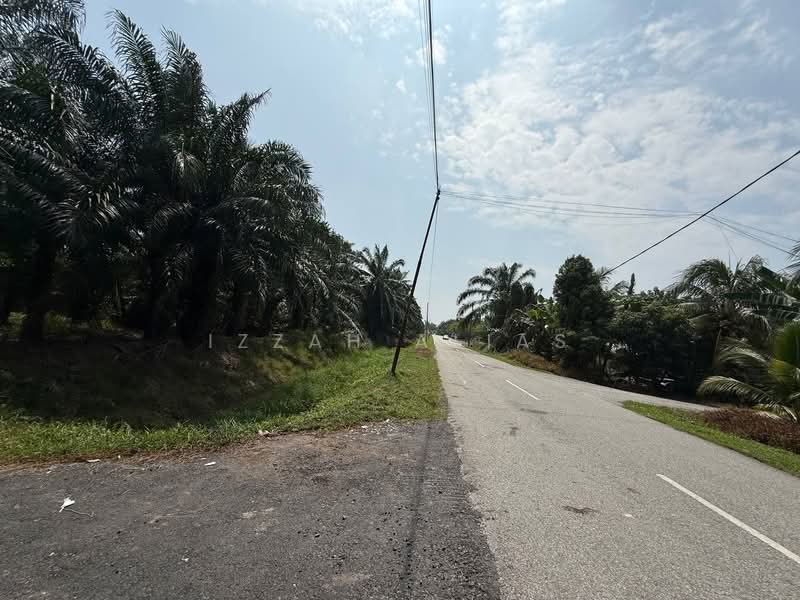 Agricultural Land for Sale in Kampung Bukit Changgang (Tanjong Duabelas) - Izzah Alias - PropertyGuru.com.my