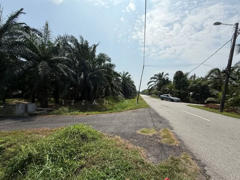 Agricultural Land for Sale in Kampung Bukit Changgang (Tanjong Duabelas) - Izzah Alias - PropertyGuru.com.my