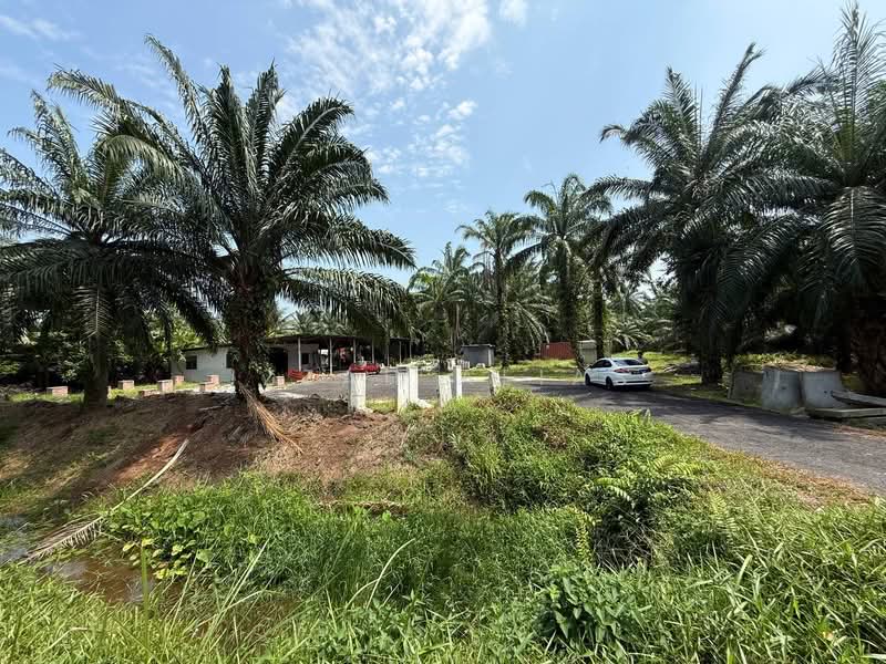 Agricultural Land for Sale in Kampung Bukit Changgang (Tanjong Duabelas) - Izzah Alias - PropertyGuru.com.my