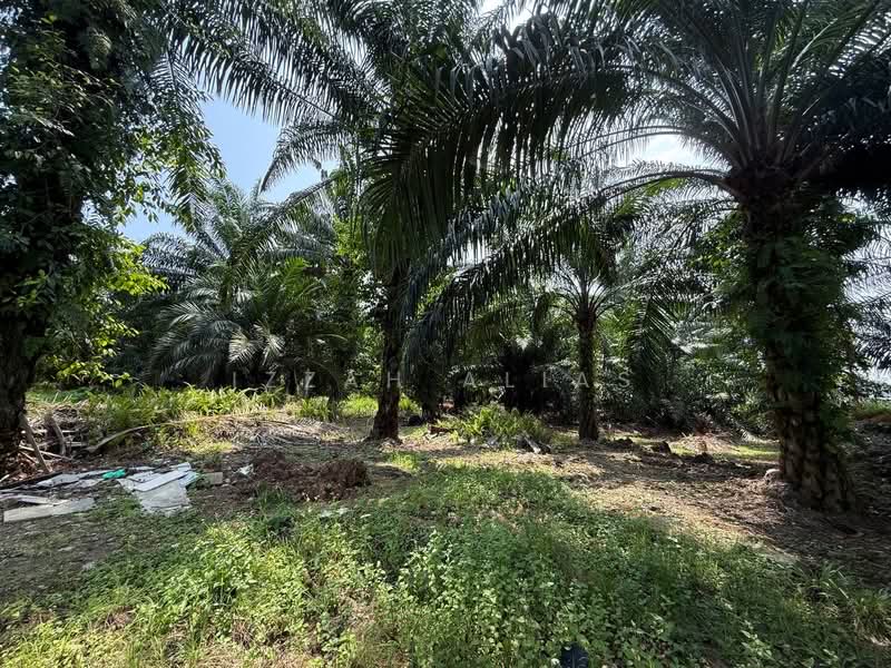 Agricultural Land for Sale in Kampung Bukit Changgang (Tanjong Duabelas) - Izzah Alias - PropertyGuru.com.my