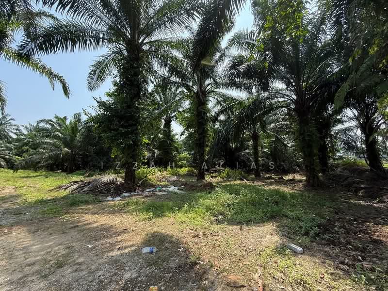 Agricultural Land for Sale in Kampung Bukit Changgang (Tanjong Duabelas) - Izzah Alias - PropertyGuru.com.my