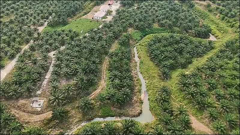 Agricultural Land for Sale in Kuala Pilah (Negeri Sembilan) - Alexius Lim - Exterior - PropertyGuru.com.my