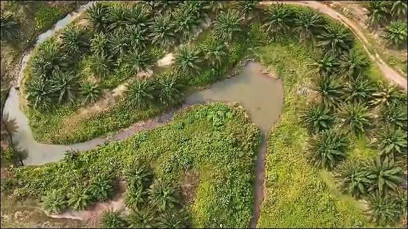Agricultural Land for Sale in Kuala Pilah (Negeri Sembilan) - Alexius Lim - PropertyGuru.com.my