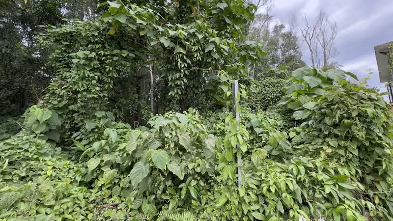 Tanah Kediaman untuk Dijual di Taman Sri Gombak (Gombak) - Zakir Anwar Bin Mustafa - PropertyGuru.com.my