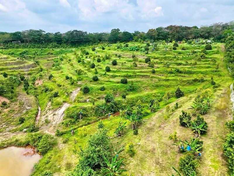 Agricultural Land for Sale in Ayer Keroh (Melaka) - Nur Hanizah - Exterior - PropertyGuru.com.my