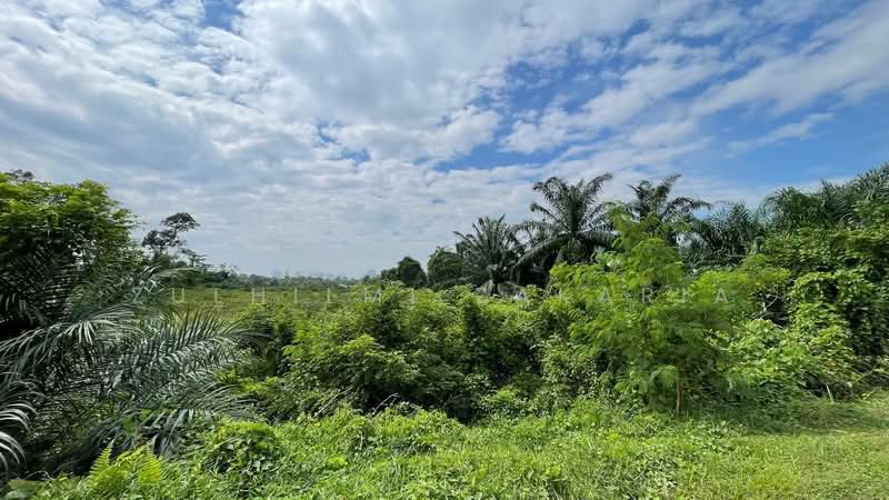 Tanah Pertanian untuk Dijual di Kampung Pulau Meranti (Puchong) - Zulhilmi Zakaria - Exterior - PropertyGuru.com.my
