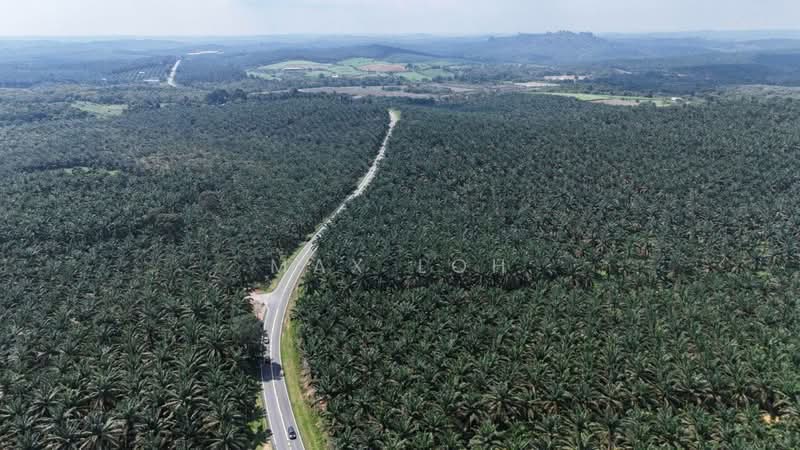 Agricultural Land for Sale in Kota Tinggi (Johor) - Max Loh - Exterior - PropertyGuru.com.my
