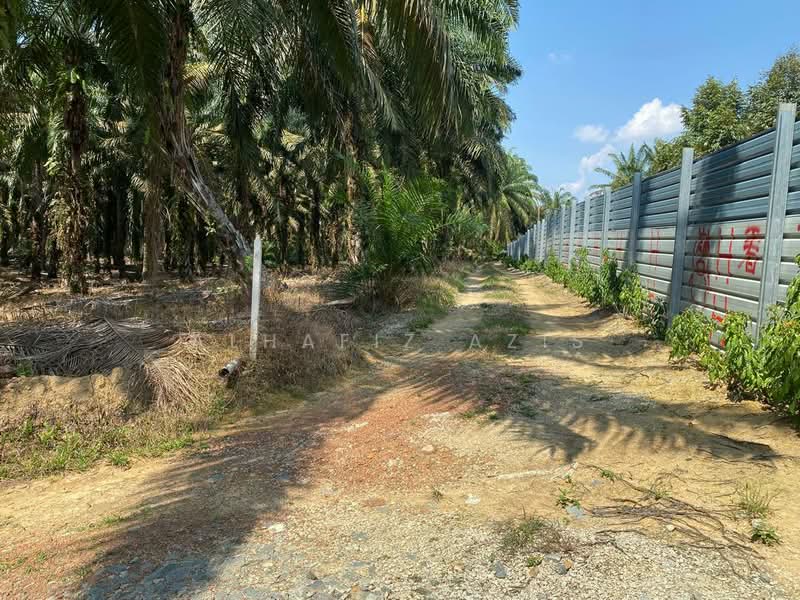 Tanah Pertanian untuk Dijual di Kampung Baru Machap (Simpang Renggam) - ALHAFIZ AZIS - Exterior - PropertyGuru.com.my