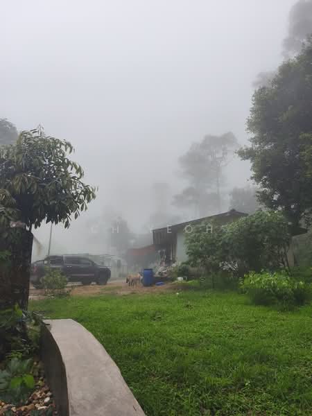 Agricultural Land for Sale in Balik Pulau (Penang) - CH Yeoh - PropertyGuru.com.my