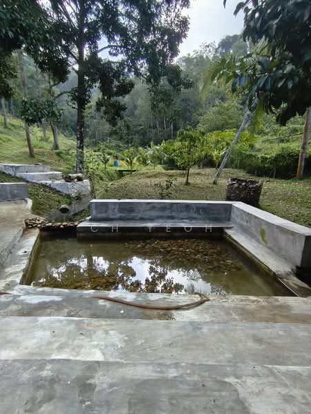 Agricultural Land for Sale in Balik Pulau (Penang) - CH Yeoh - PropertyGuru.com.my