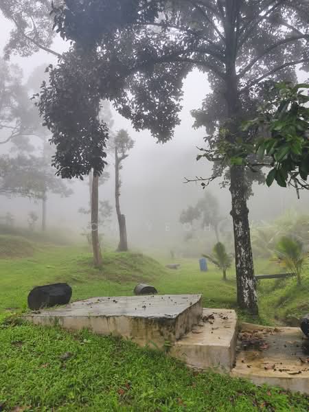 Agricultural Land for Sale in Balik Pulau (Penang) - CH Yeoh - PropertyGuru.com.my