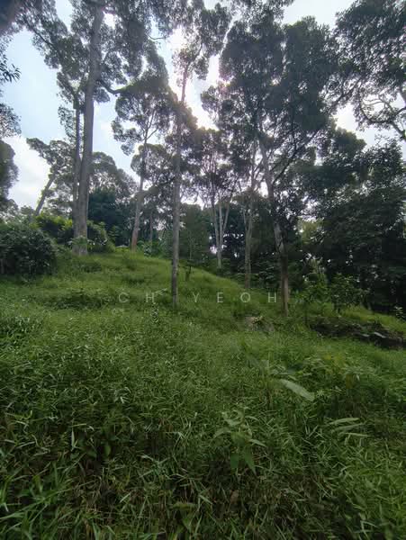 Agricultural Land for Sale in Balik Pulau (Penang) - CH Yeoh - PropertyGuru.com.my