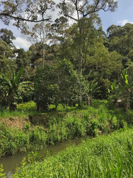 Agricultural Land for Sale in Balik Pulau (Penang) - CH Yeoh - PropertyGuru.com.my
