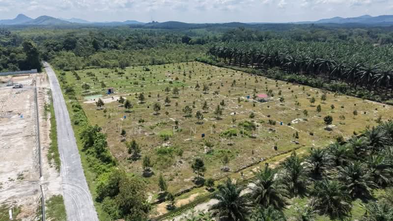 Agricultural Land for Sale in Bentong (Pahang) - Vincent Tee - Exterior - PropertyGuru.com.my