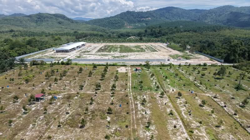 Agricultural Land for Sale in Bentong (Pahang) - Vincent Tee - Exterior - PropertyGuru.com.my