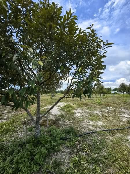 Agricultural Land for Sale in Bentong (Pahang) - Vincent Tee - Exterior - PropertyGuru.com.my