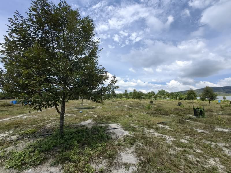 Agricultural Land for Sale in Bentong (Pahang) - Vincent Tee - Exterior - PropertyGuru.com.my