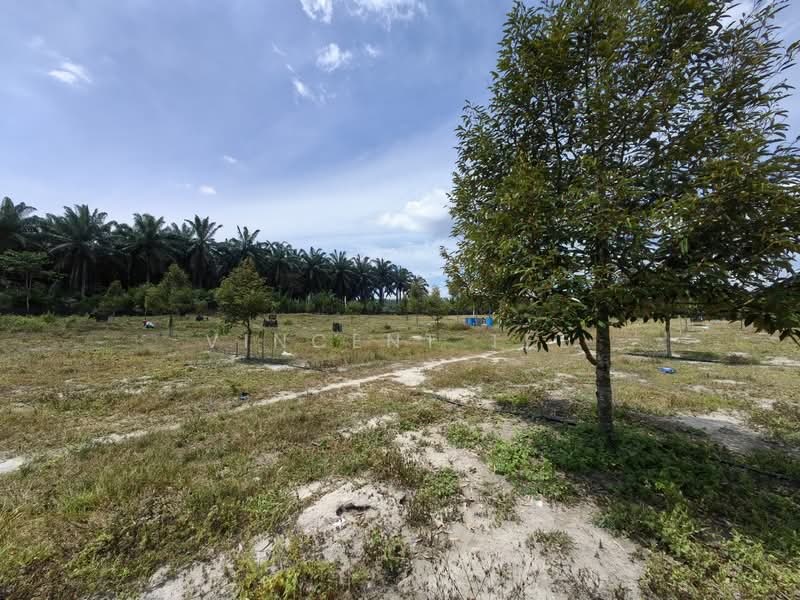 Agricultural Land for Sale in Bentong (Pahang) - Vincent Tee - Exterior - PropertyGuru.com.my